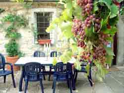 La Terrazza, a self catering villa to rent in Tuscany